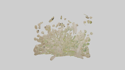 3D model Natureinspired Wall Stickers 2 VR / AR / low-poly