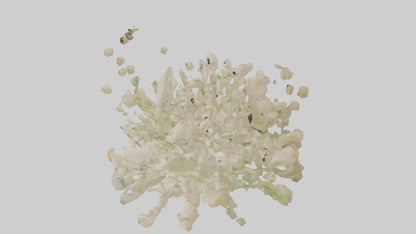 3D model Natureinspired Wall Stickers 2 VR / AR / low-poly