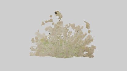 3D model Natureinspired Wall Stickers 2 VR / AR / low-poly