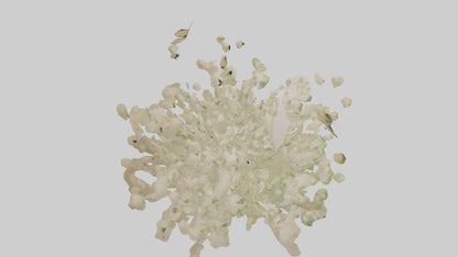 3D model Natureinspired Wall Stickers 2 VR / AR / low-poly