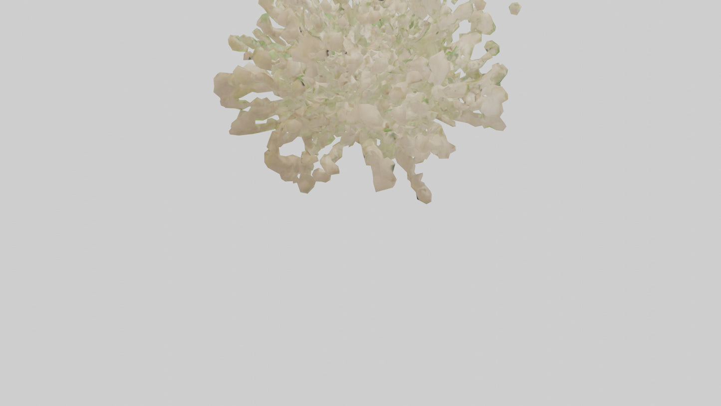 3D model Natureinspired Wall Stickers 2 VR / AR / low-poly