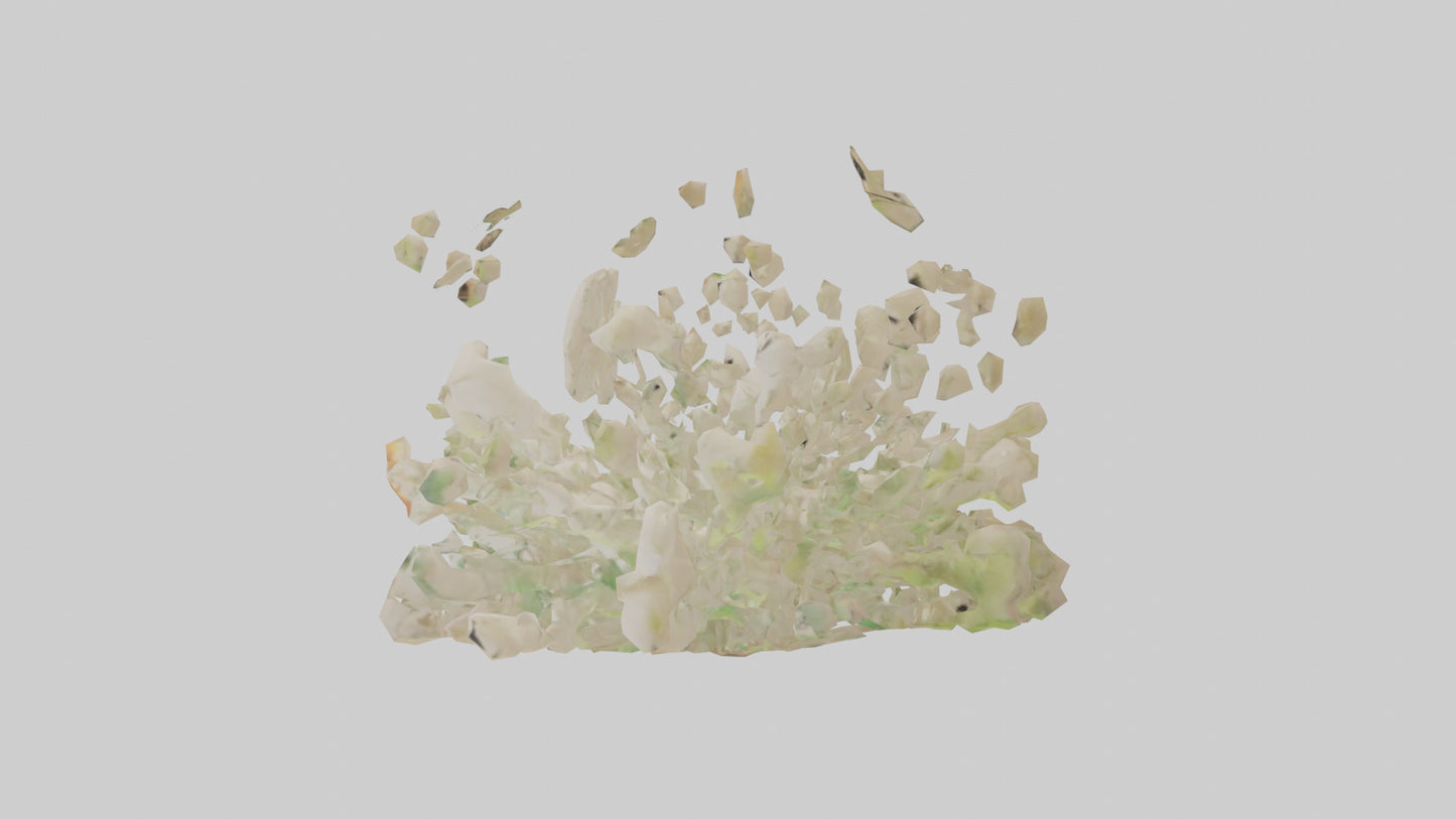 3D model Natureinspired Wall Stickers 2 VR / AR / low-poly