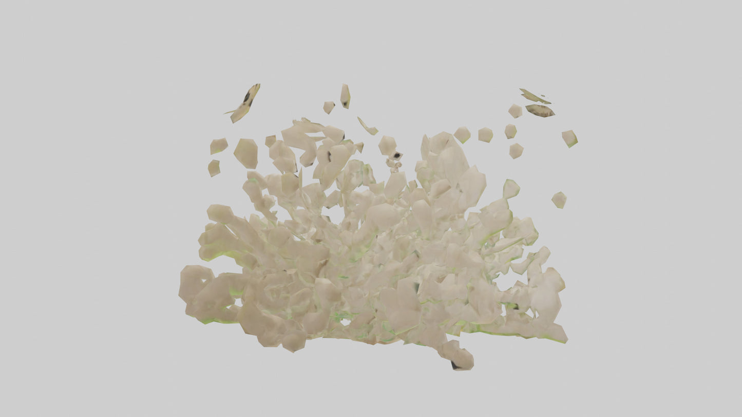 3D model Natureinspired Wall Stickers 2 VR / AR / low-poly