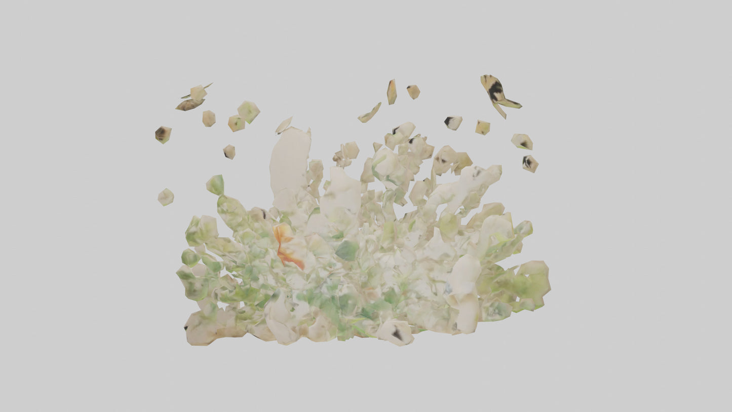 3D model Natureinspired Wall Stickers 2 VR / AR / low-poly