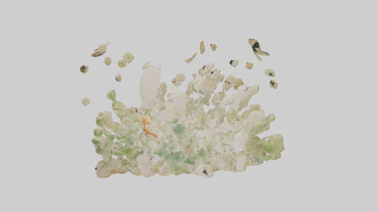 3D model Natureinspired Wall Stickers 2 VR / AR / low-poly