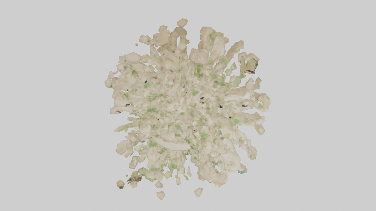 3D model Natureinspired Wall Stickers 2 VR / AR / low-poly