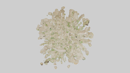 3D model Natureinspired Wall Stickers 2 VR / AR / low-poly