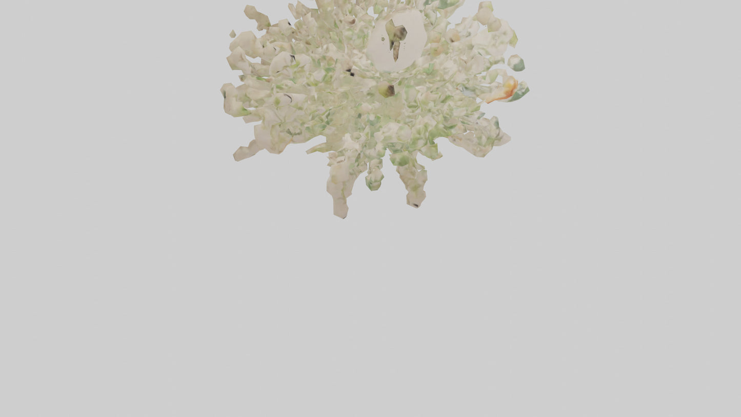 3D model Natureinspired Wall Stickers 2 VR / AR / low-poly