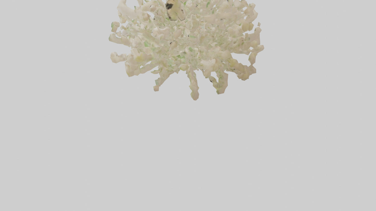 3D model Natureinspired Wall Stickers 2 VR / AR / low-poly