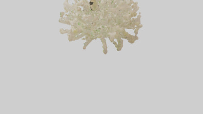 3D model Natureinspired Wall Stickers 2 VR / AR / low-poly