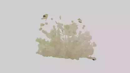 3D model Natureinspired Wall Stickers 2 VR / AR / low-poly