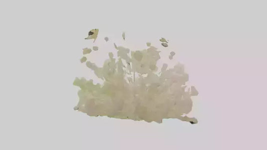 3D model Natureinspired Wall Stickers 2 VR / AR / low-poly