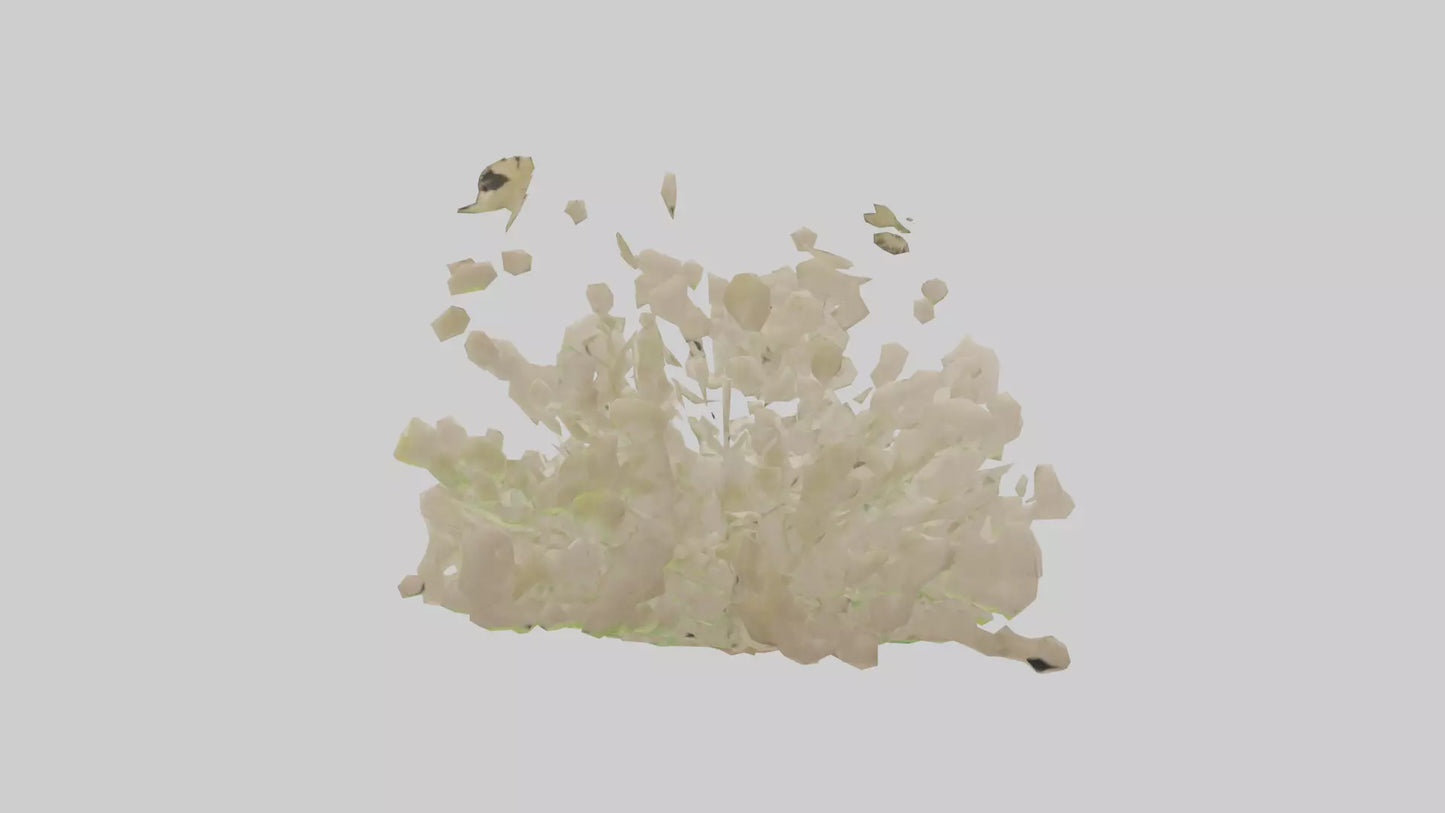 3D model Natureinspired Wall Stickers 2 VR / AR / low-poly