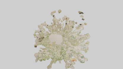 3D model Natureinspired Wall Stickers 2 VR / AR / low-poly