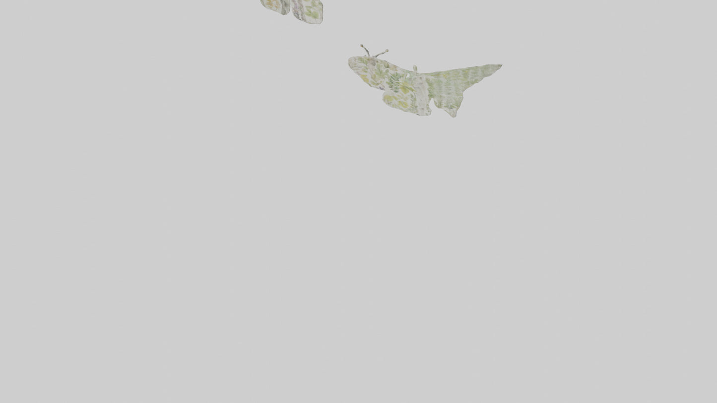 3D model Natureinspired Wall Stickers VR / AR / low-poly