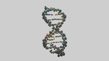 3D model Natures DNA sculpture model VR / AR / low-poly