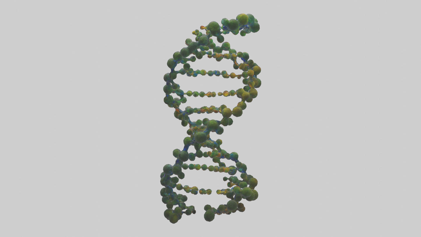 3D model Natures DNA sculpture model VR / AR / low-poly