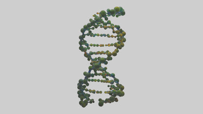 3D model Natures DNA sculpture model VR / AR / low-poly