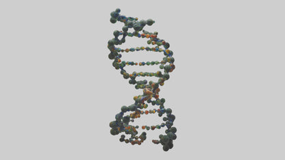 3D model Natures DNA sculpture model VR / AR / low-poly