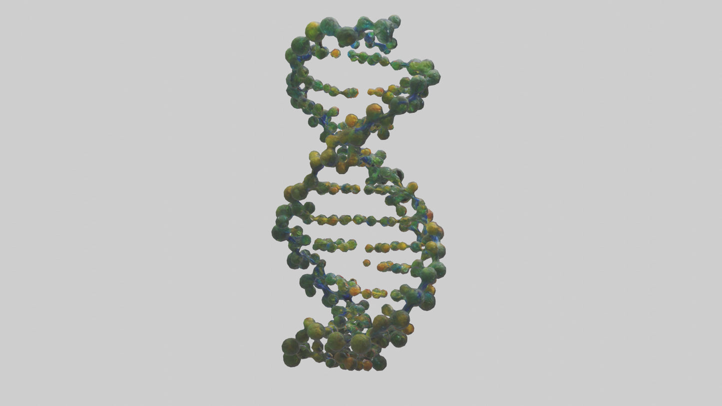 3D model Natures DNA sculpture model VR / AR / low-poly