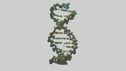 3D model Natures DNA sculpture model VR / AR / low-poly