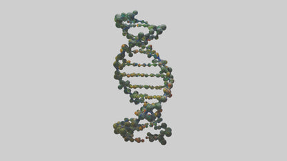 3D model Natures DNA sculpture model VR / AR / low-poly