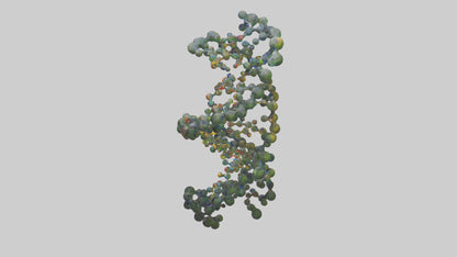 3D model Natures DNA sculpture model VR / AR / low-poly