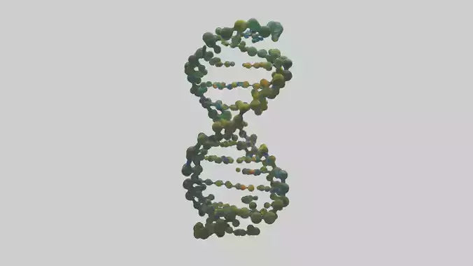 3D model Natures DNA sculpture model VR / AR / low-poly