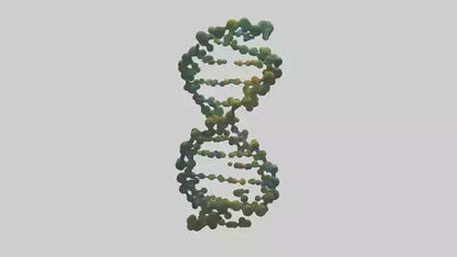 3D model Natures DNA sculpture model VR / AR / low-poly