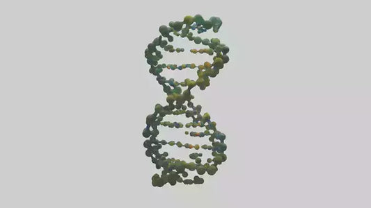 3D model Natures DNA sculpture model VR / AR / low-poly