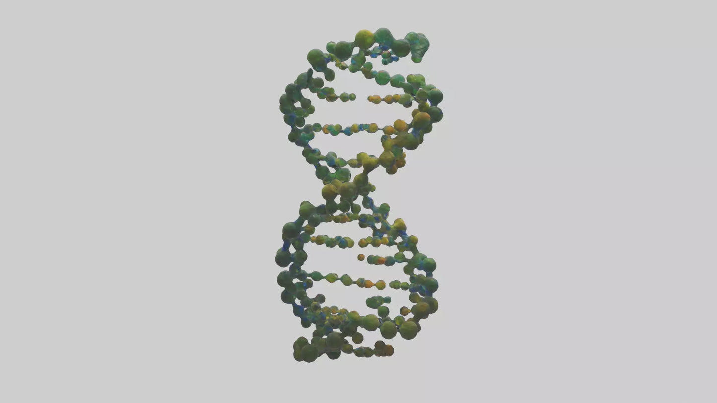 3D model Natures DNA sculpture model VR / AR / low-poly