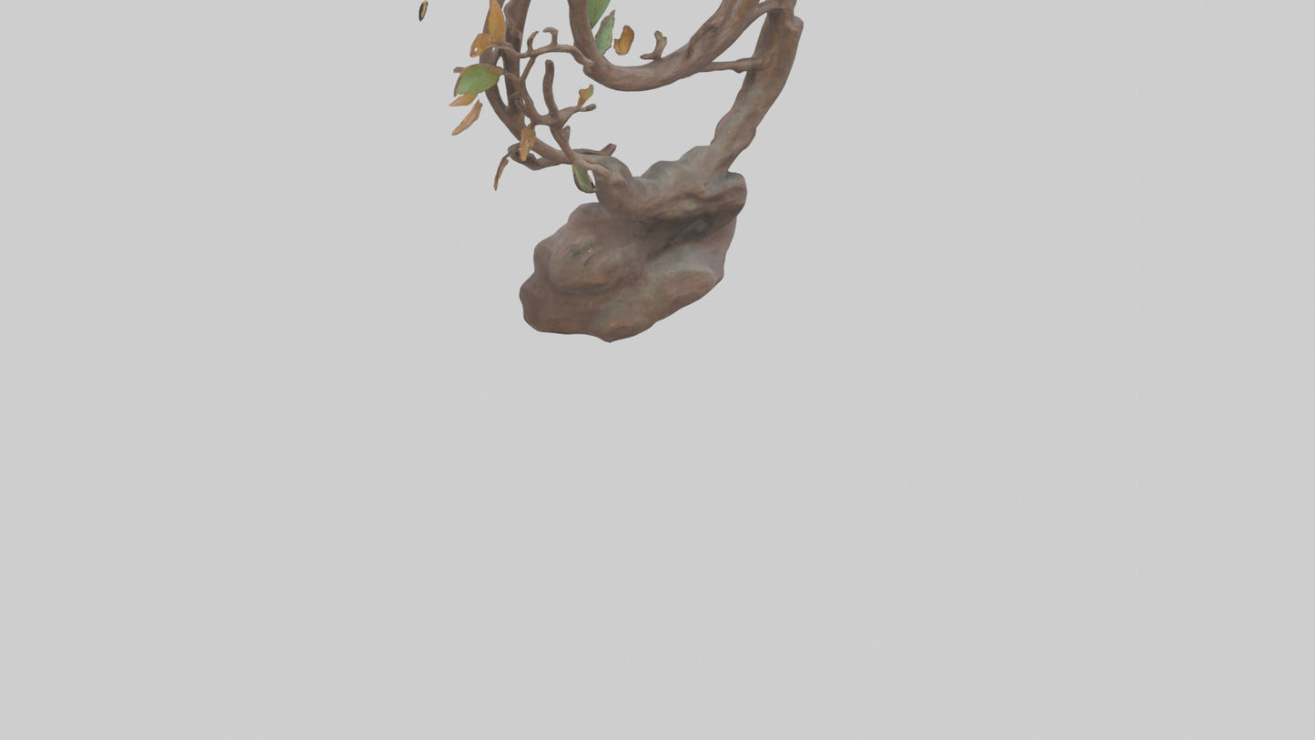 3D model Natures Loop statue model VR / AR / low-poly