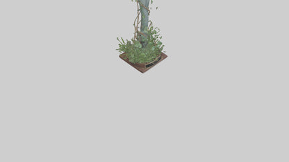 3D model Natures Revival Memorial Statue model VR / AR / low-poly