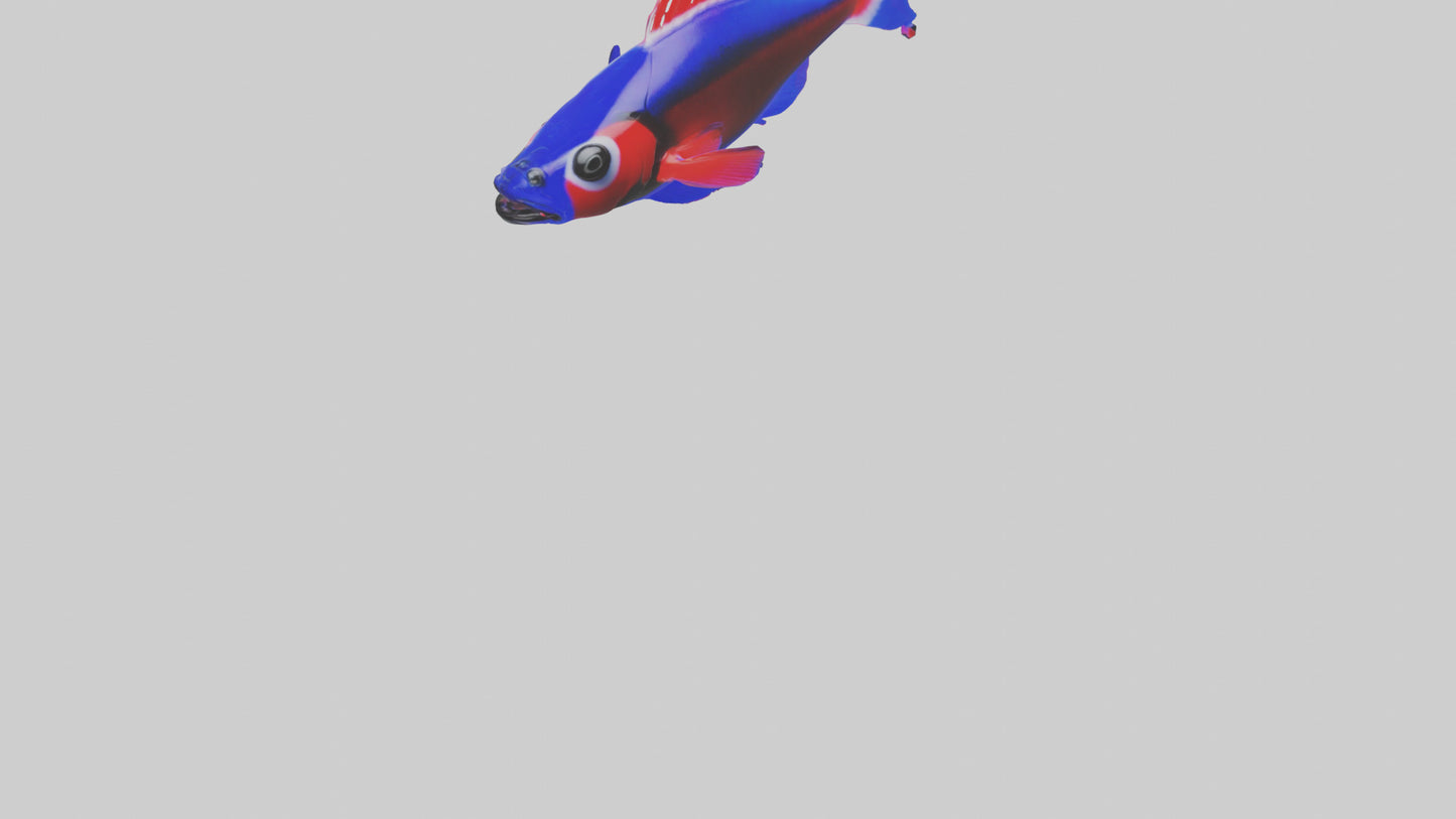 3D model Neon Tetra swimming model VR / AR / low-poly