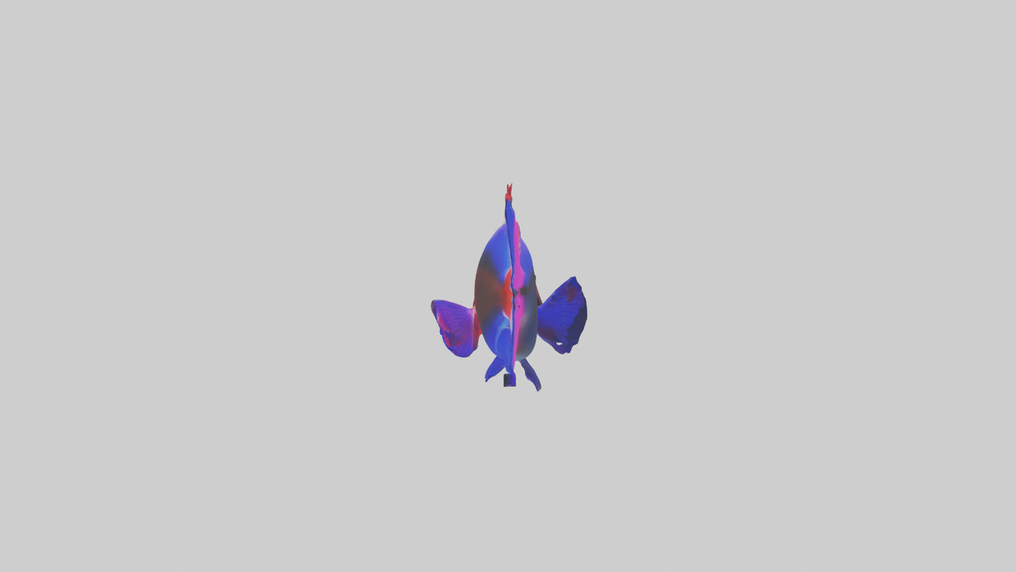 3D model Neon Tetra swimming model VR / AR / low-poly