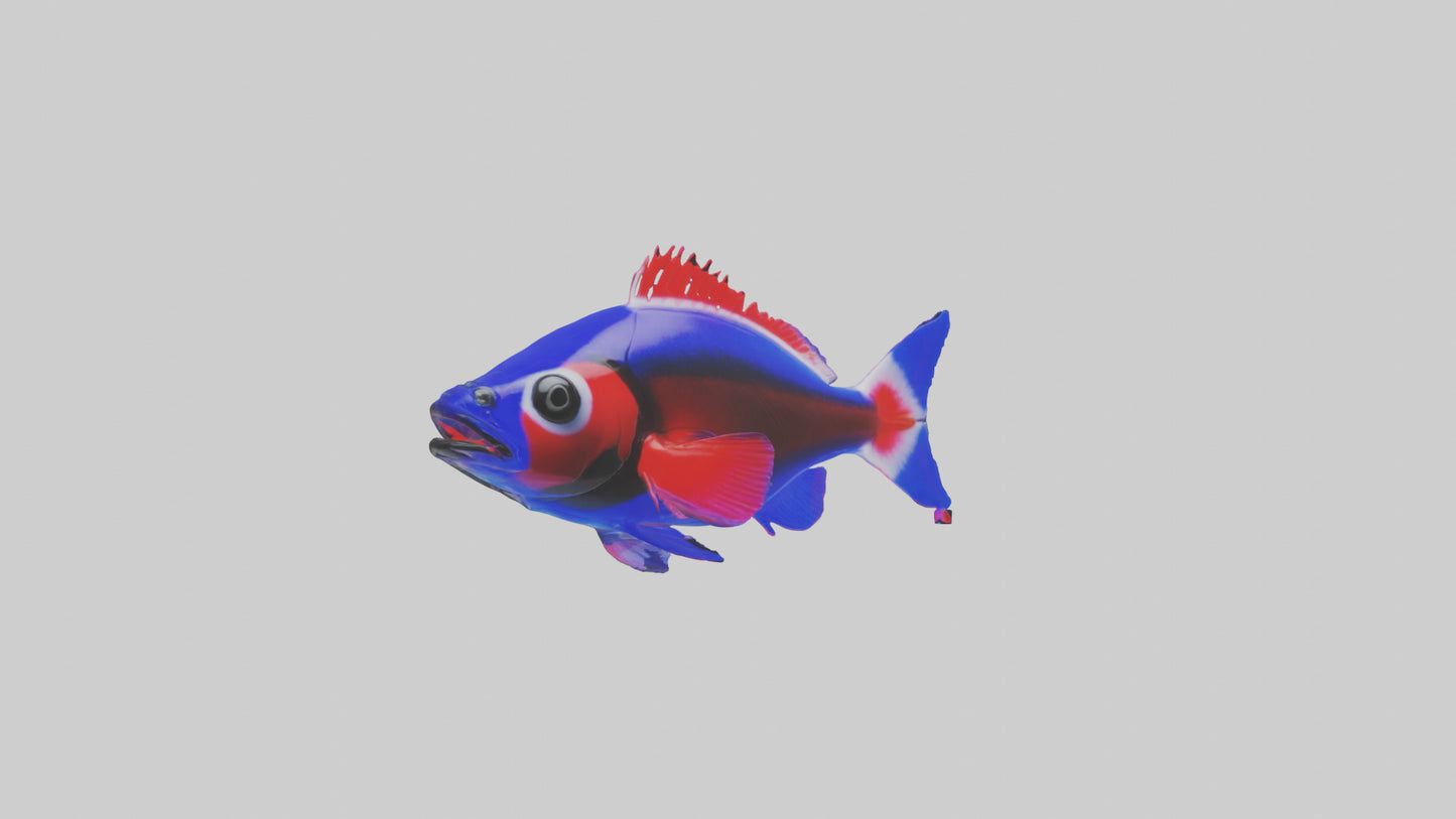 3D model Neon Tetra swimming model VR / AR / low-poly