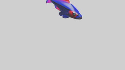 3D model Neon Tetra swimming model VR / AR / low-poly