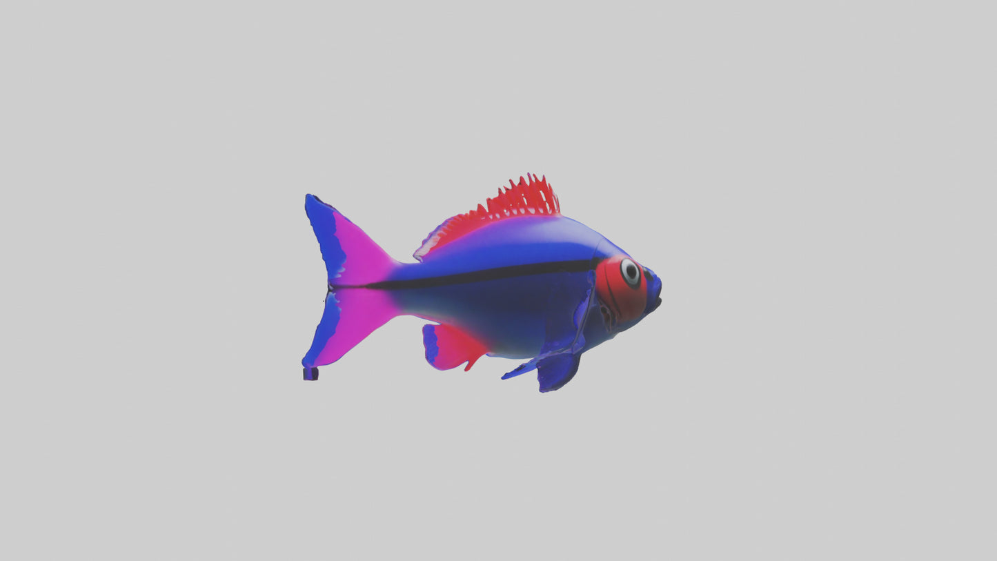 3D model Neon Tetra swimming model VR / AR / low-poly