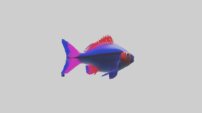 3D model Neon Tetra swimming model VR / AR / low-poly