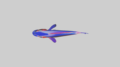 3D model Neon Tetra swimming model VR / AR / low-poly