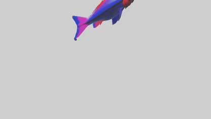 3D model Neon Tetra swimming model VR / AR / low-poly