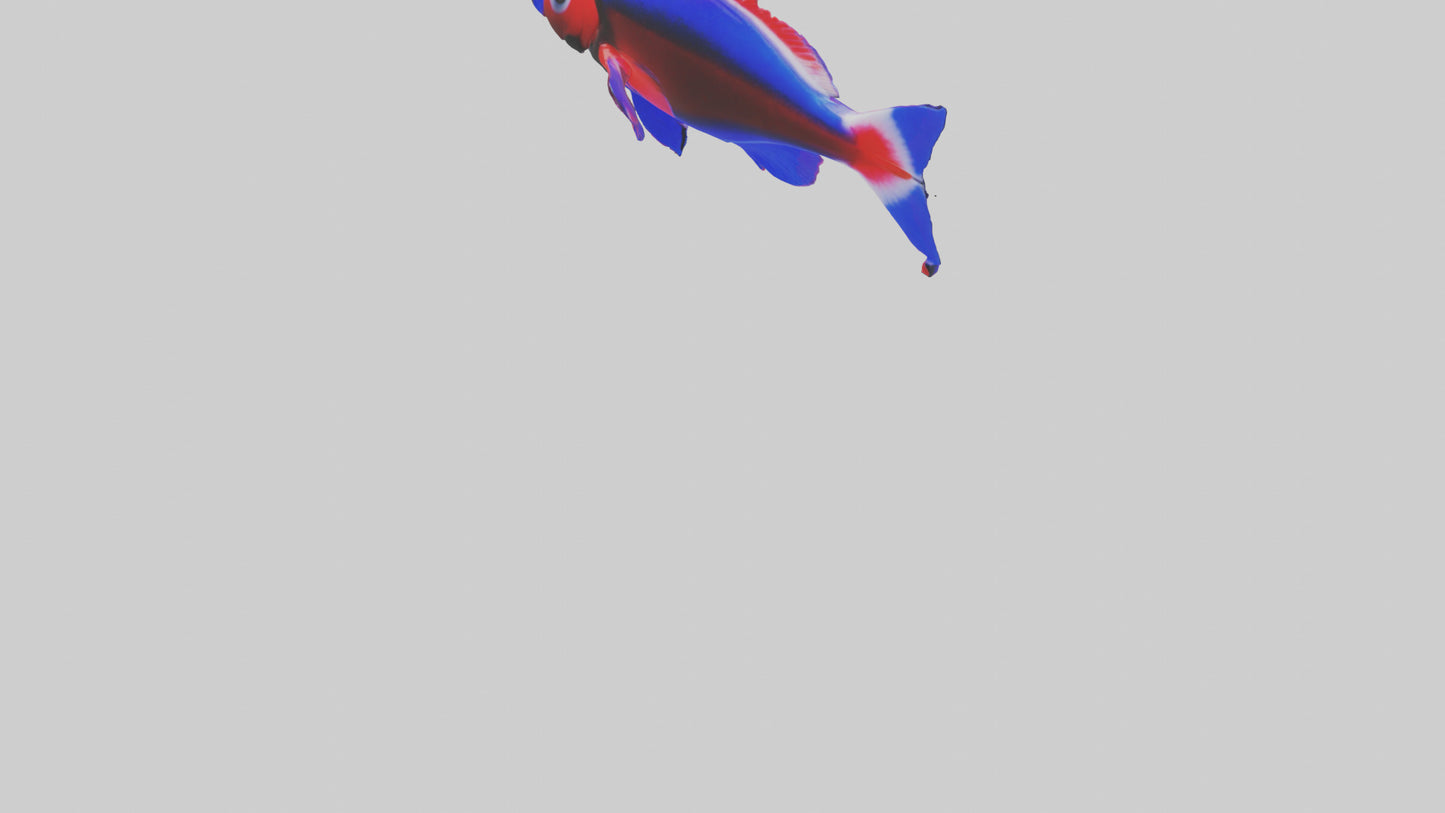 3D model Neon Tetra swimming model VR / AR / low-poly