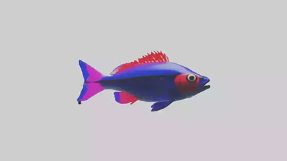 3D model Neon Tetra swimming model VR / AR / low-poly