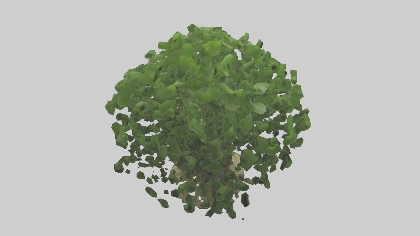 3D model Nettle tree model VR / AR / low-poly