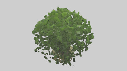 3D model Nettle tree model VR / AR / low-poly
