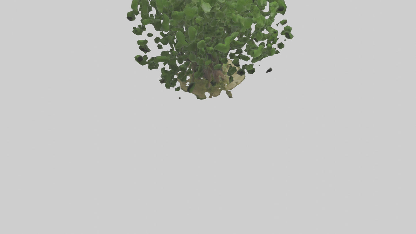 3D model Nettle tree model VR / AR / low-poly