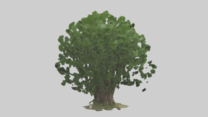 3D model Nettle tree model VR / AR / low-poly