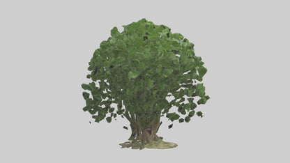 3D model Nettle tree model VR / AR / low-poly