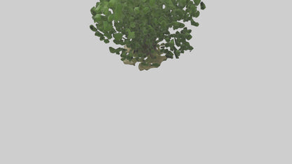 3D model Nettle tree model VR / AR / low-poly