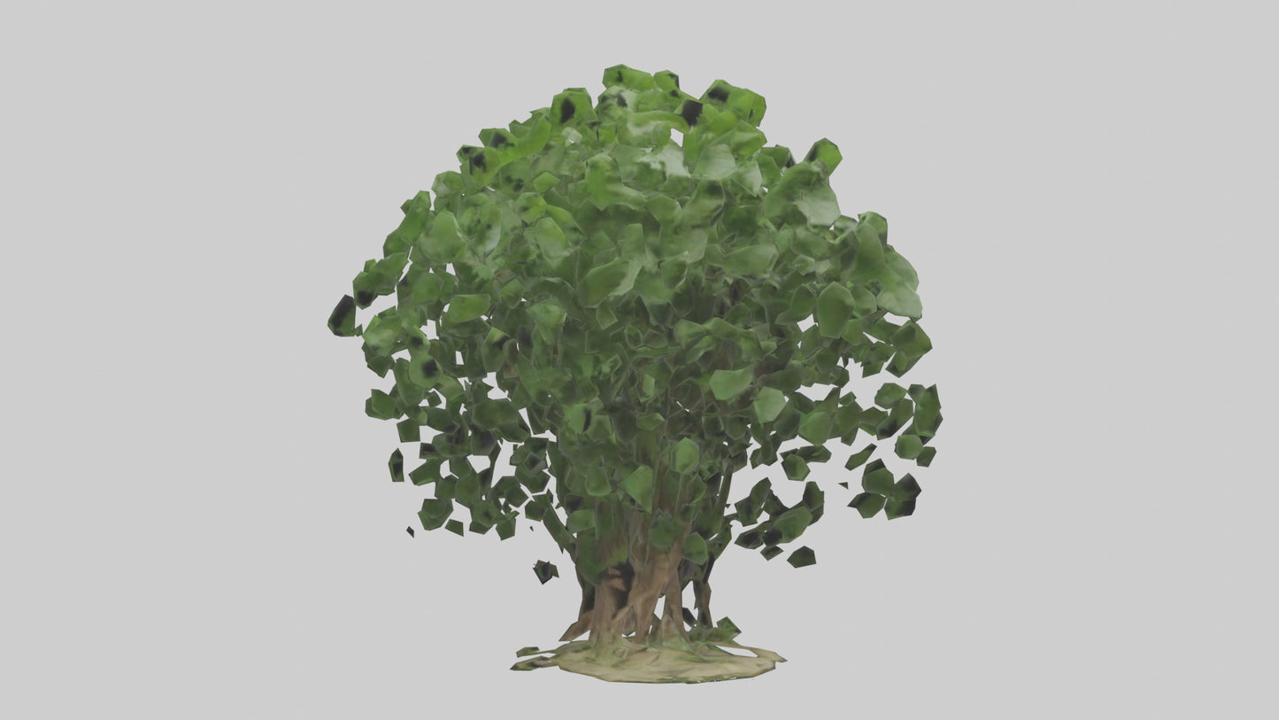3D model Nettle tree model VR / AR / low-poly